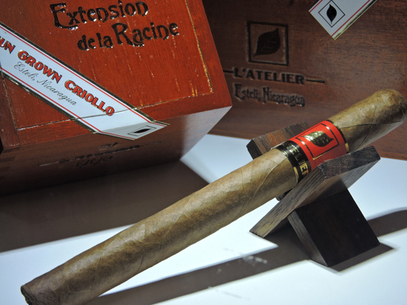 LAtelier_Imports_Extension_de_la_Racne_ER15WEB