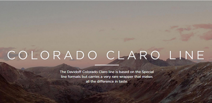 DavvCClogo_1024x1024WEB