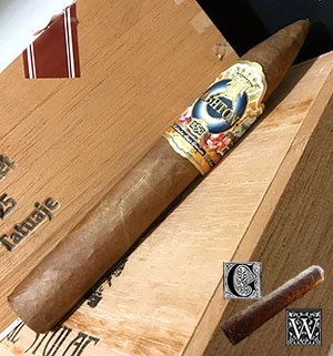 Ashton ESG 22 Year Salute Review