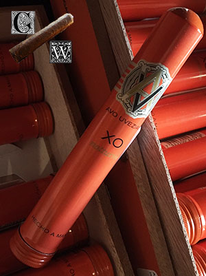 Avo XO Notturno Tubo Review